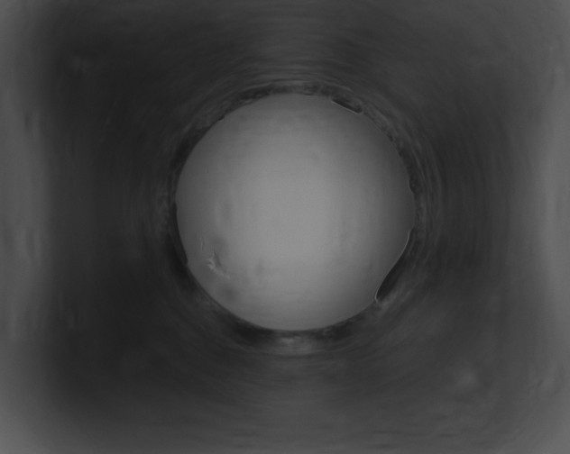 X0000101170376200806270758