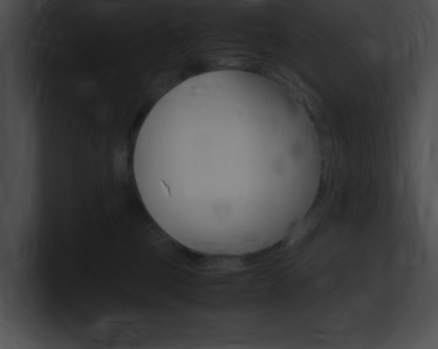 X0000101170377200806270758