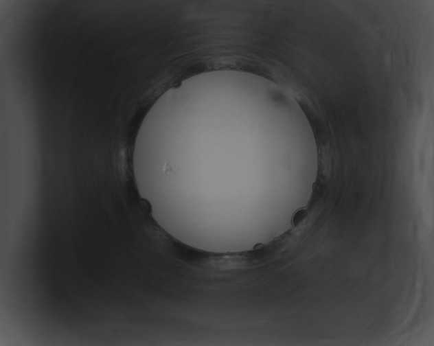 X0000101170378200806270758