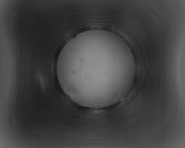 X0000101170379200806270758