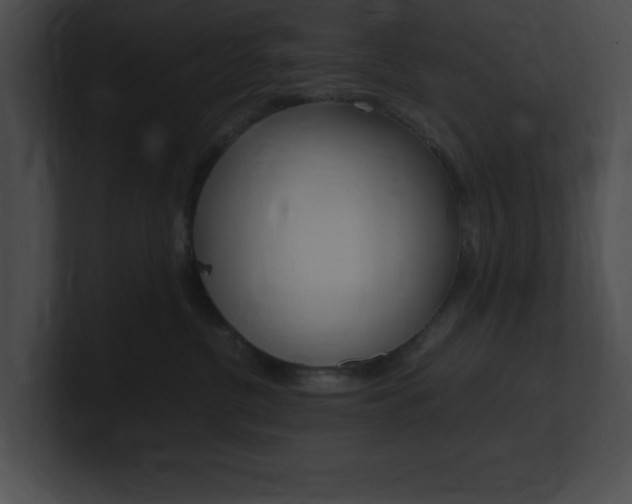 X0000101170380200806270758