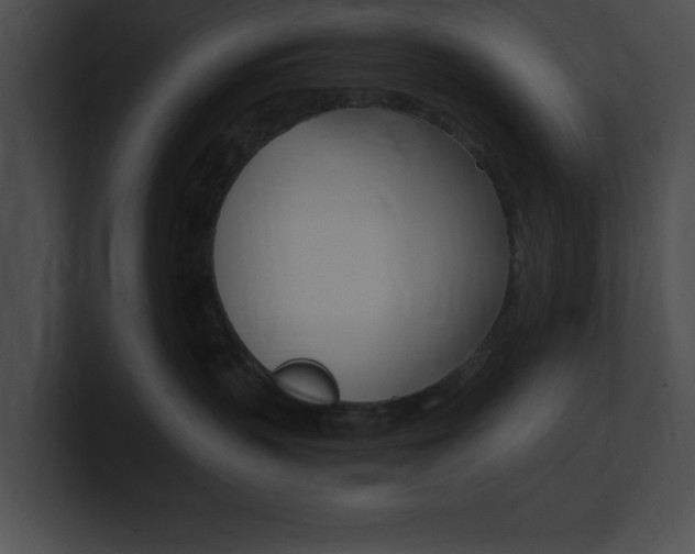 X0000101170383200806270758