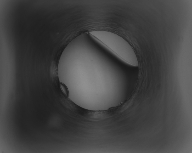 X0000101170384200806270758