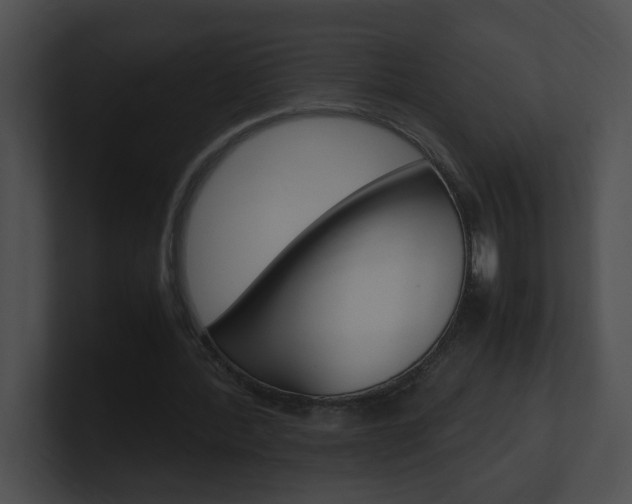 X0000101170388200806270758
