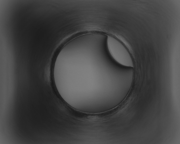 X0000101170391200806270758