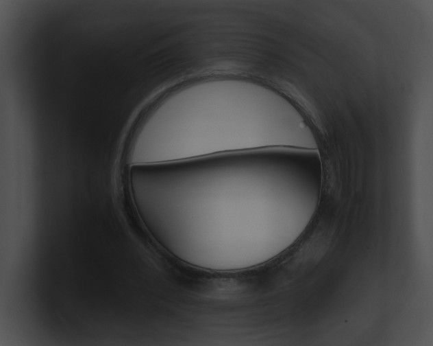 X0000101170392200806270758