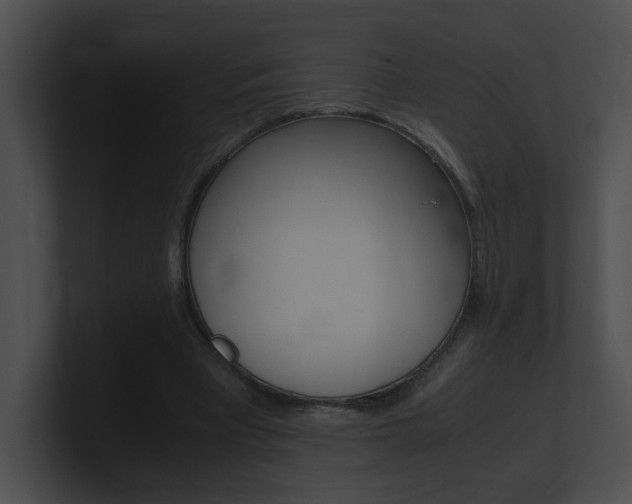 X0000101170393200806270758