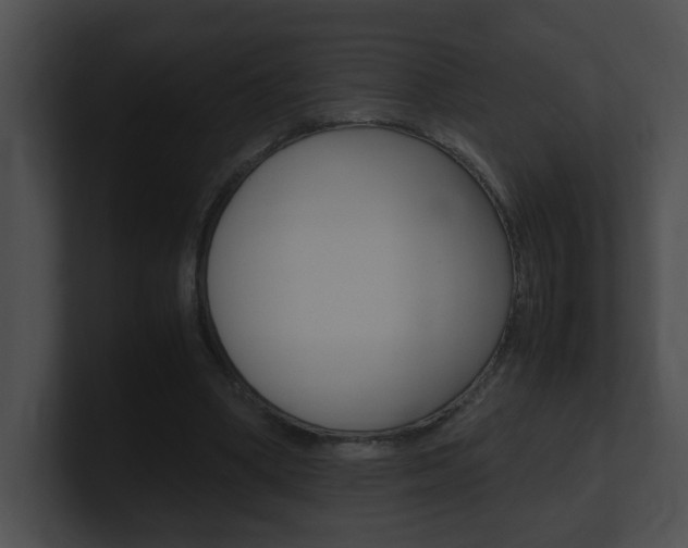 X0000101170394200806270758