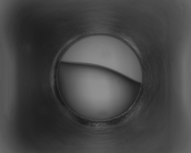 X0000101170395200806270758