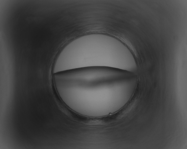 X0000101170397200806270758