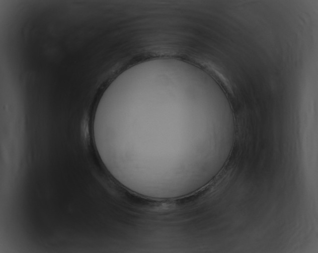 X0000101170398200806270758