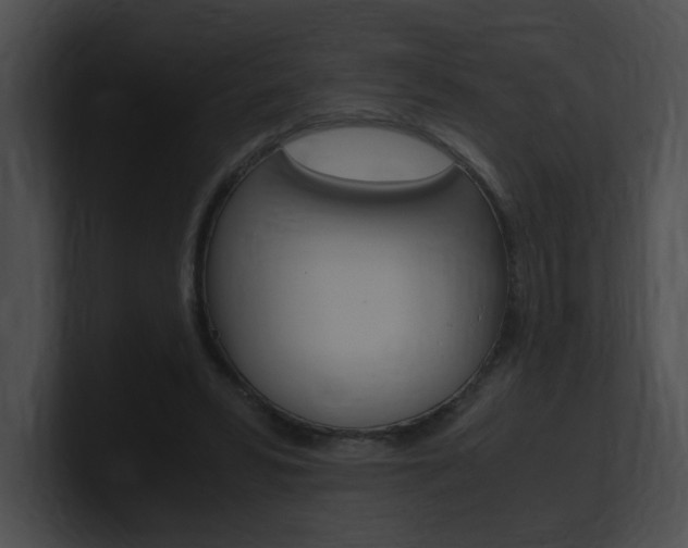 X0000101170399200806270758