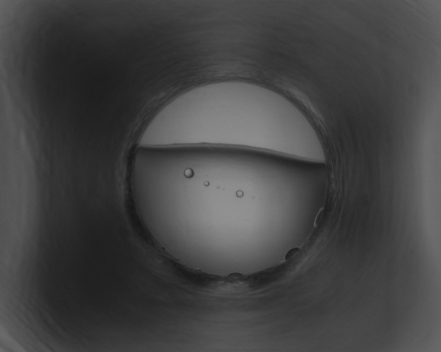 X0000101170403200806270757