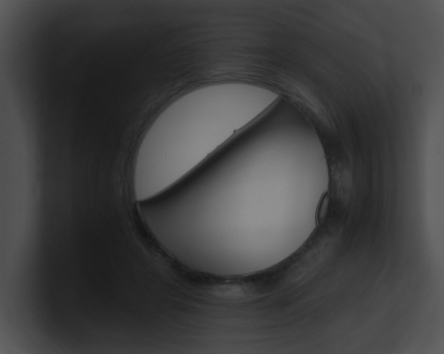 X0000101170404200806270757