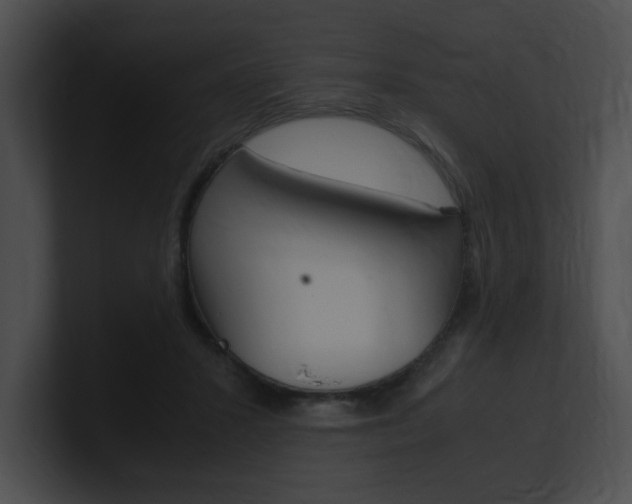 X0000101170407200806270757