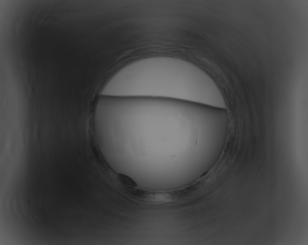 X0000101170409200806270757