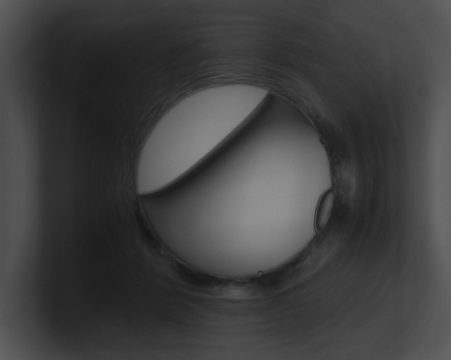 X0000101170412200806270757