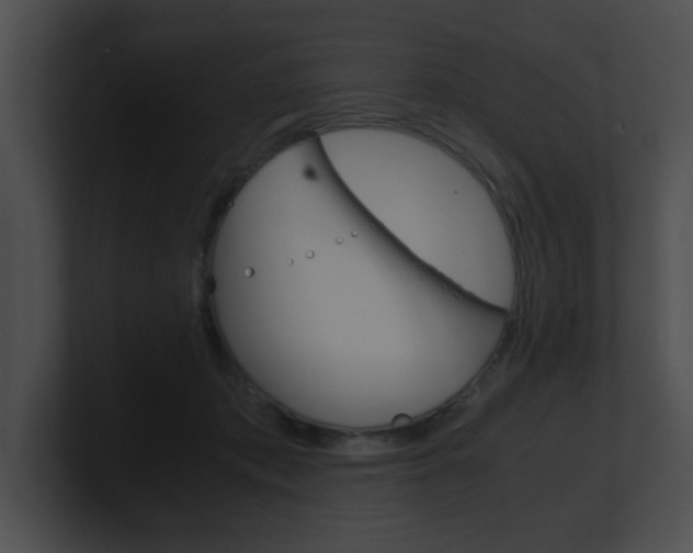 X0000101170413200806270757