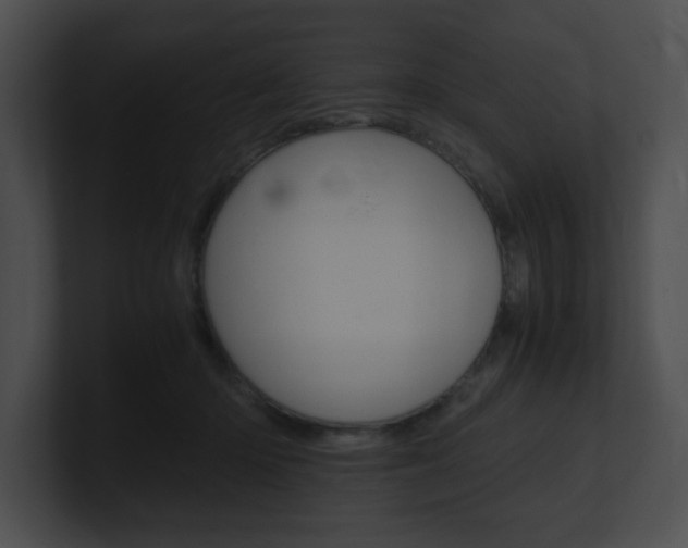 X0000101170414200806270757