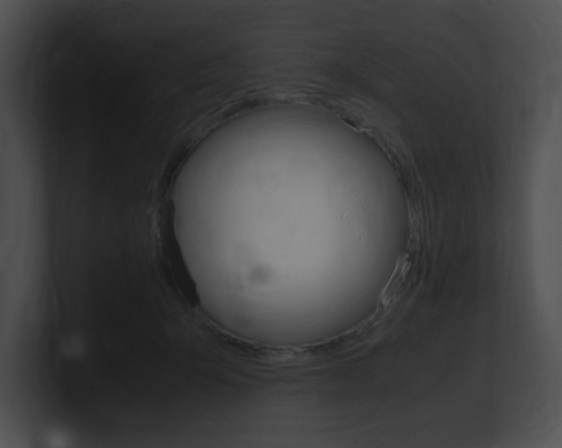 X0000101170415200806270757