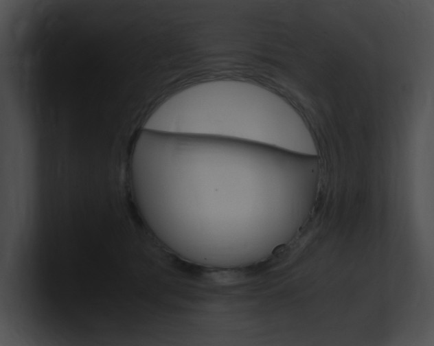 X0000101170417200806270757