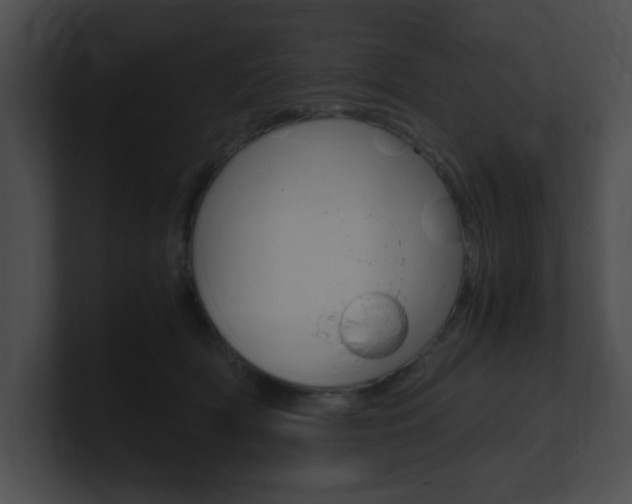 X0000101170418200806270757