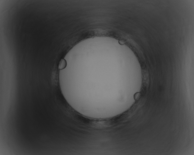 X0000101170419200806270757
