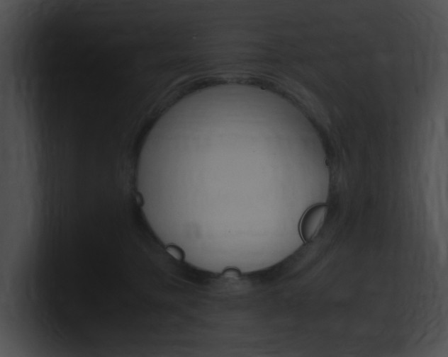 X0000101170421200806270757