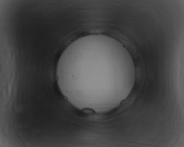X0000101170422200806270757
