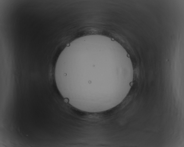 X0000101170423200806270757