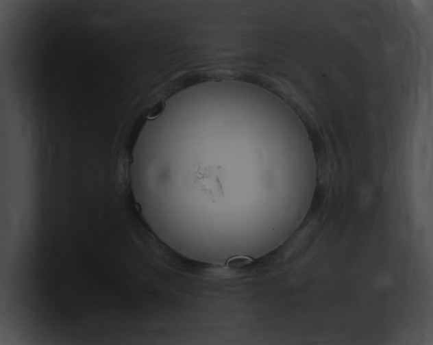 X0000101170425200806270757