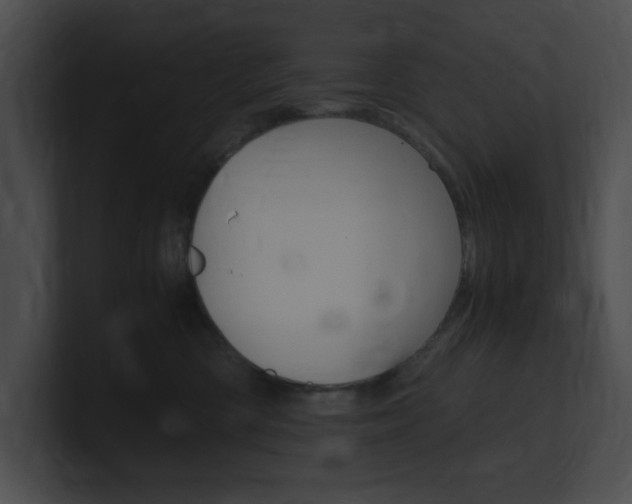 X0000101170426200806270757
