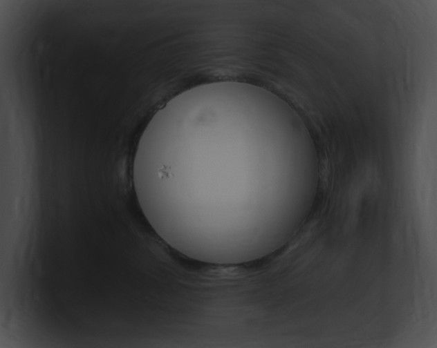 X0000101170428200806270757