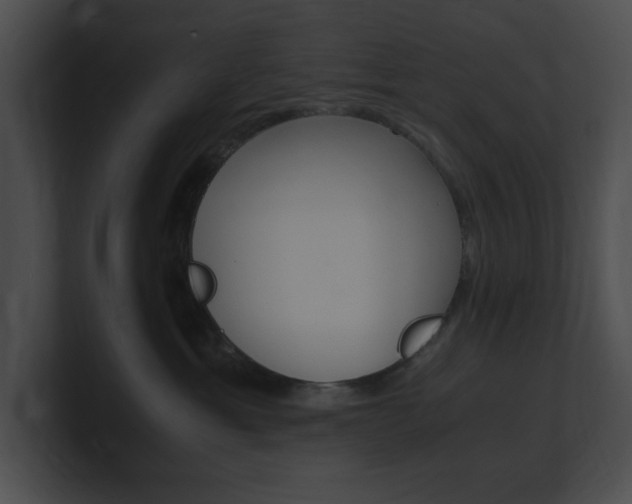 X0000101170429200806270757