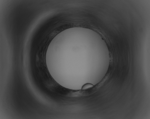 X0000101170430200806270757