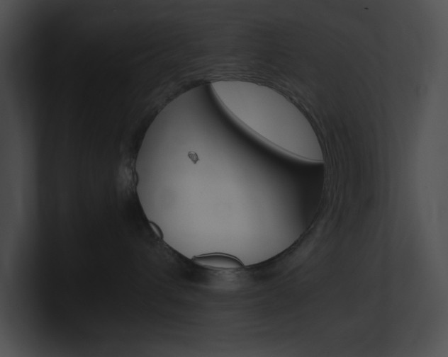 X0000101170432200806270757