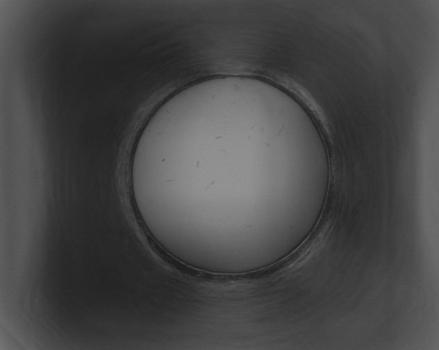 X0000101170433200806270756