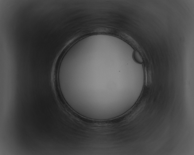 X0000101170435200806270756