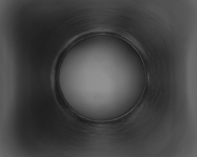 X0000101170436200806270756