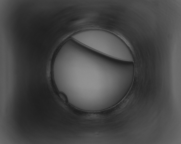 X0000101170437200806270756