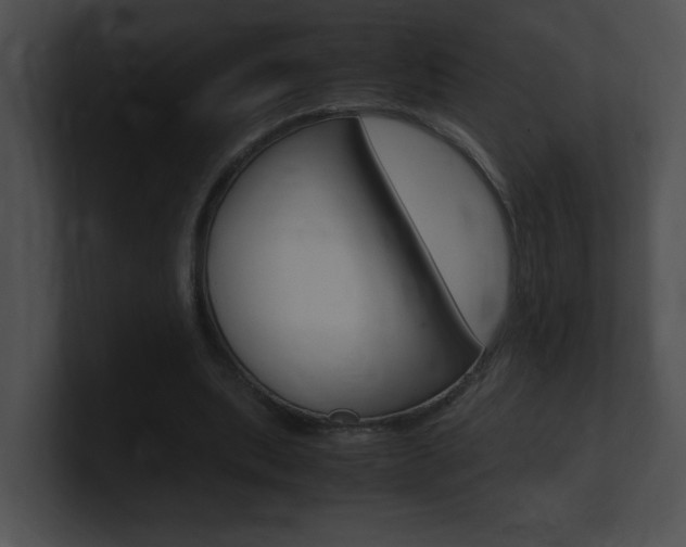 X0000101170439200806270757