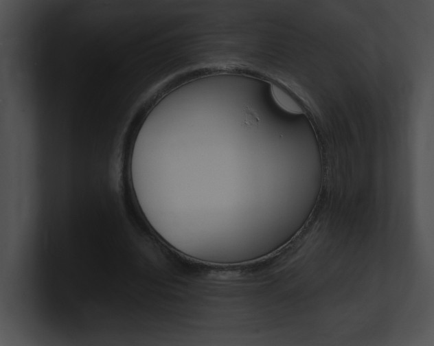 X0000101170440200806270757