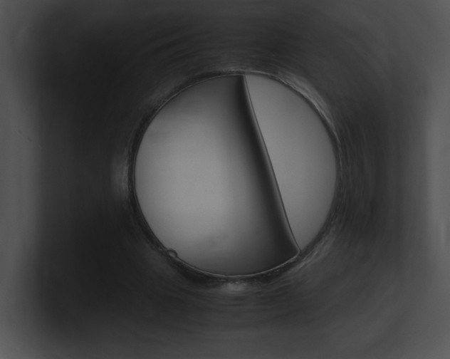 X0000101170441200806270757