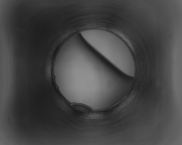X0000101170445200806270757