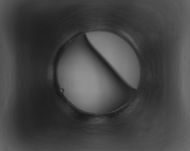 X0000101170447200806270757