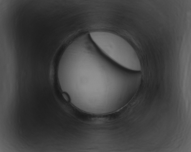 X0000101170448200806270757
