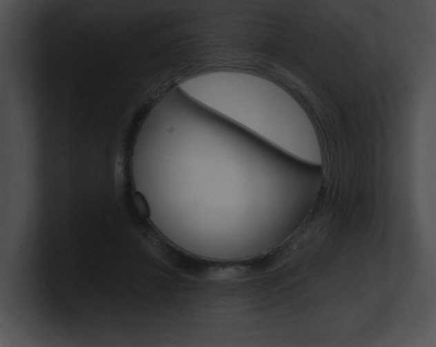 X0000101170452200806270757