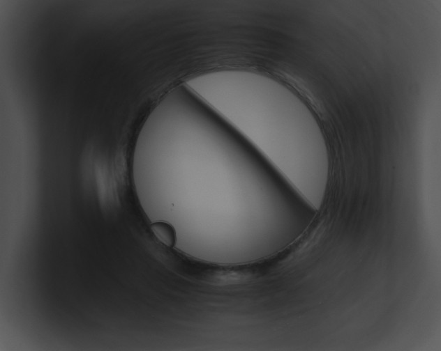 X0000101170453200806270757
