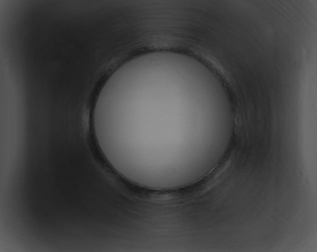 X0000101170454200806270757