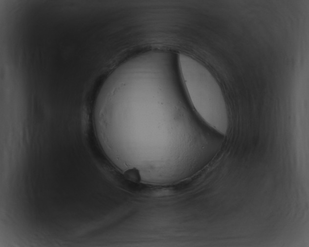 X0000101170456200806270757